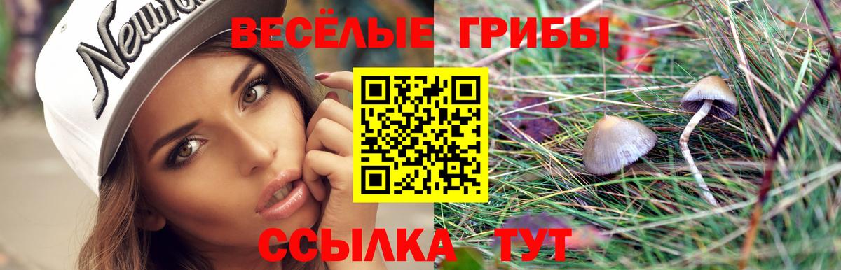 Дербент  Галлюциногенные грибы Psilocybe  Вход с VPN 